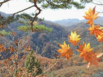 楼吵克星新视频揭秘，解决居住噪音的有效新方法